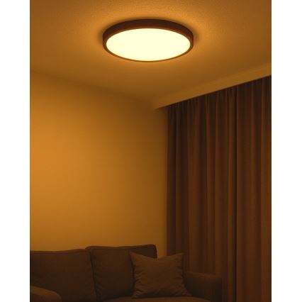 LED Stropní svítidlo LED/40W/230V 3000/4000/6500K pr. 50 cm hnědá